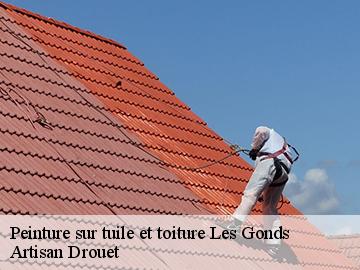 Peinture sur tuile et toiture