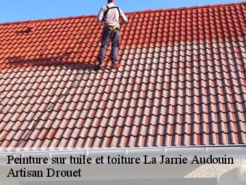 Peinture sur tuile et toiture  la-jarrie-audouin-17330 Artisan Drouet