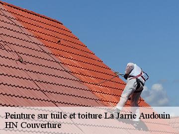 Peinture sur tuile et toiture