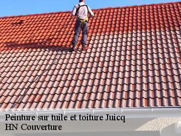 Peinture sur tuile et toiture juicq-17770 HN Couverture