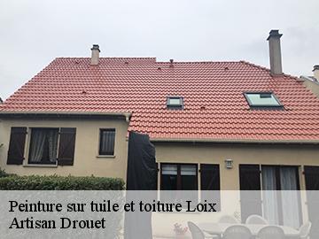 Peinture sur tuile et toiture  17111