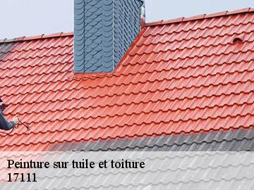 Peinture sur tuile et toiture  17111
