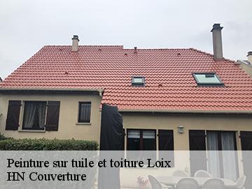 Peinture sur tuile et toiture 17111