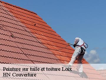Peinture sur tuile et toiture