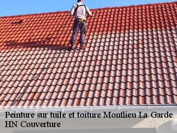 Peinture sur tuile et toiture montlieu-la-garde-17210 HN Couverture