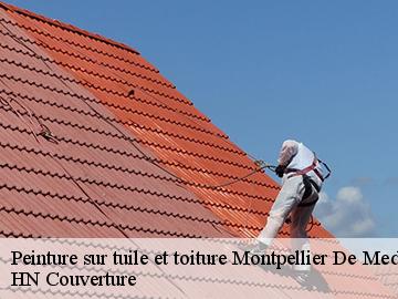 Peinture sur tuile et toiture