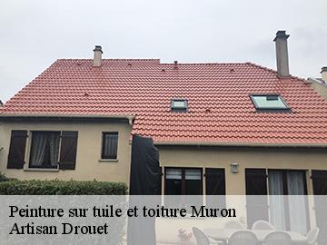 Peinture sur tuile et toiture 17430