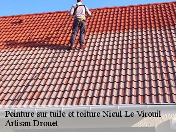 Peinture sur tuile et toiture  nieul-le-virouil-17150 Artisan Drouet