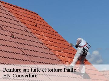 Peinture sur tuile et toiture