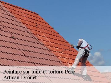 Peinture sur tuile et toiture