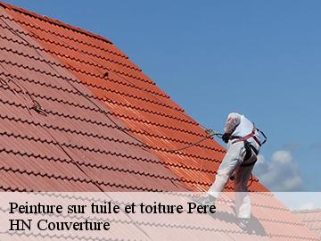 Peinture sur tuile et toiture