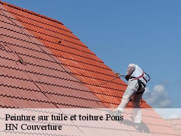 Peinture sur tuile et toiture