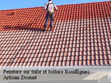 Peinture sur tuile et toiture rouffignac-17130 Artisan Drouet
