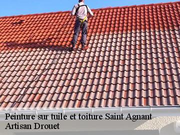 Peinture sur tuile et toiture  saint-agnant-17620 Artisan Drouet