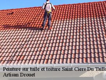 Peinture sur tuile et toiture  saint-ciers-du-taillon-17240 Artisan Drouet