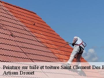 Peinture sur tuile et toiture