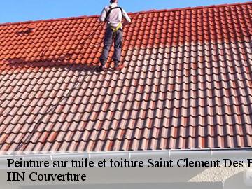 Peinture sur tuile et toiture saint-clement-des-baleines-17590 HN Couverture