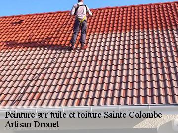 Peinture sur tuile et toiture sainte-colombe-17210 Artisan Drouet