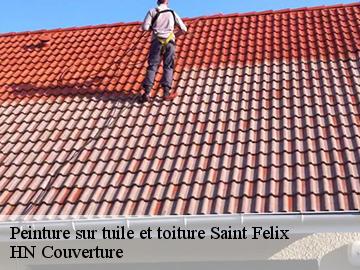 Peinture sur tuile et toiture saint-felix-17330 HN Couverture
