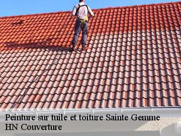 Peinture sur tuile et toiture sainte-gemme-17250 HN Couverture