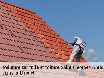 Peinture sur tuile et toiture