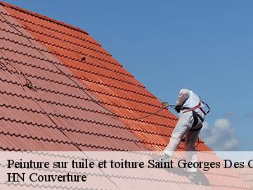 Peinture sur tuile et toiture