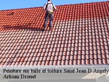 Peinture sur tuile et toiture  saint-jean-d-angely-17400 Artisan Drouet