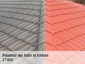 Peinture sur tuile et toiture