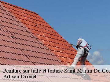 Peinture sur tuile et toiture