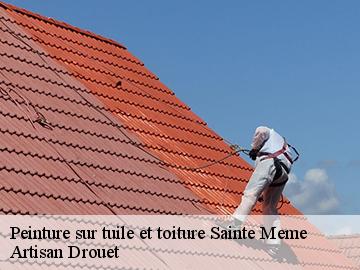 Peinture sur tuile et toiture