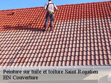 Peinture sur tuile et toiture saint-rogatien-17220 HN Couverture