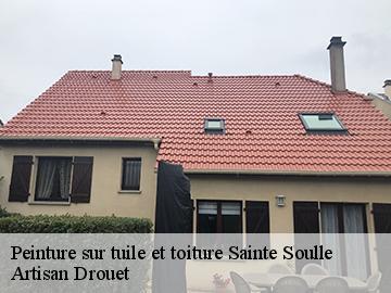 Peinture sur tuile et toiture  17220