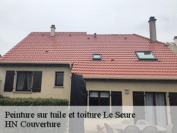 Peinture sur tuile et toiture 17770