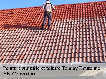 Peinture sur tuile et toiture  tonnay-boutonne-17380 HN Couverture