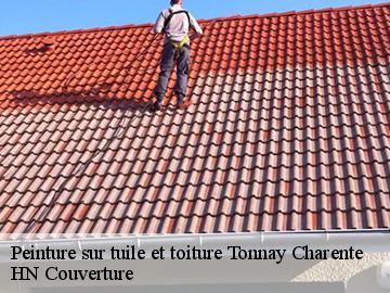 Peinture sur tuile et toiture tonnay-charente-17430 HN Couverture