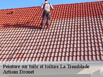 Peinture sur tuile et toiture  la-tremblade-17390 Artisan Drouet