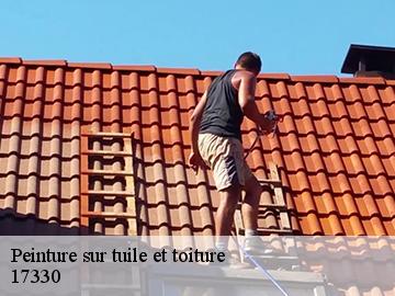 Peinture sur tuile et toiture 17330