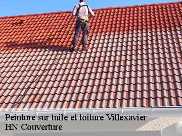 Peinture sur tuile et toiture  villexavier-17500 Artisan Aptel