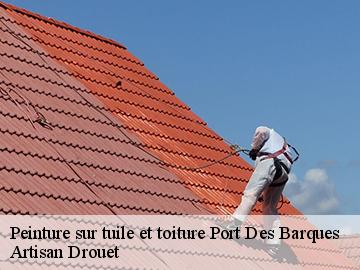 Peinture sur tuile et toiture