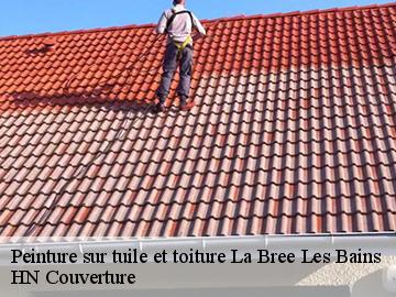 Peinture sur tuile et toiture la-bree-les-bains-17840 HN Couverture