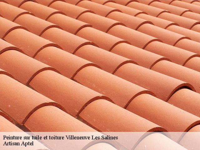 Peinture sur tuile et toiture  villeneuve-les-salines-17000 Artisan Aptel