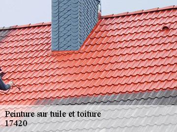 Peinture sur tuile et toiture 17420