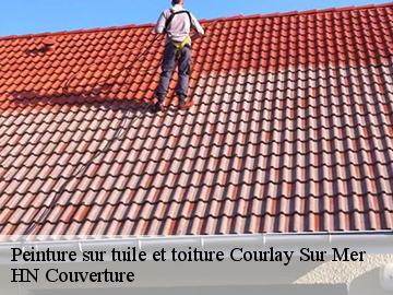 Peinture sur tuile et toiture courlay-sur-mer-17420 HN Couverture