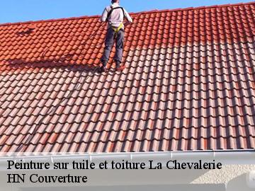 Peinture sur tuile et toiture  la-chevalerie-17480 HN Couverture