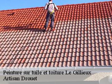 Peinture sur tuile et toiture le-gillieux-17590 Artisan Drouet