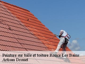 Peinture sur tuile et toiture