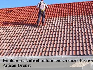 Peinture sur tuile et toiture  les-grandes-rivieres-17220 Artisan Drouet