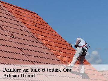 Peinture sur tuile et toiture