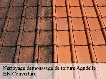 Nettoyage demoussage de toiture agudelle-17500 HN Couverture