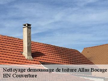 Nettoyage demoussage de toiture 17150
